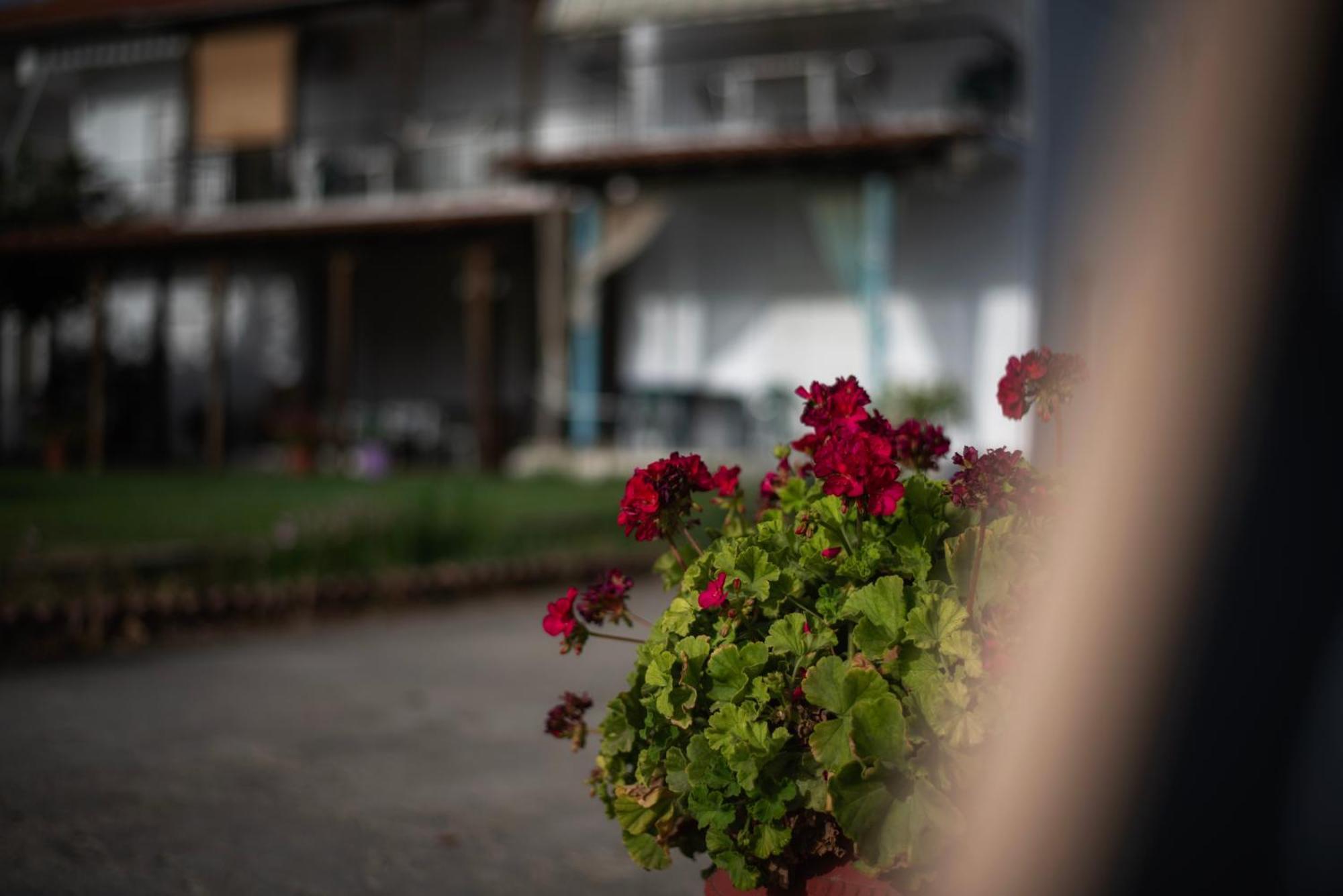Marilena Apartments Anastasiou Velika  Zewnętrze zdjęcie